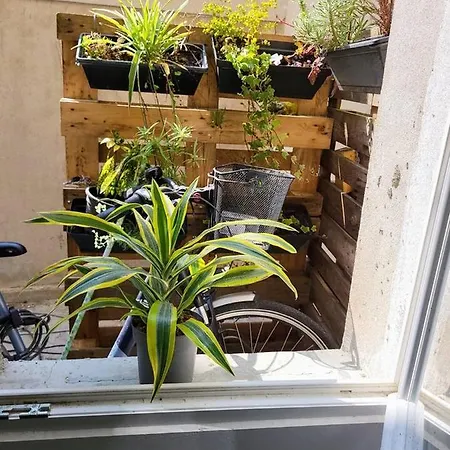 Cosy Appartement Hyper Centre-Ville Quimper Exterior photo