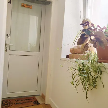 Cosy Appartement Hyper Centre-Ville Quimper Exterior photo